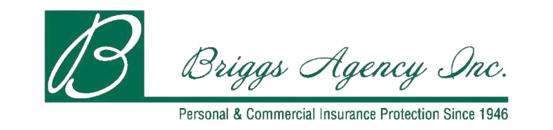 Briggs Agency Inc