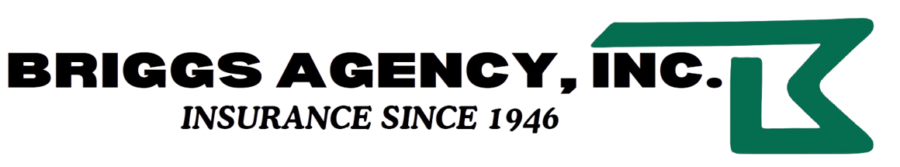 Briggs Agency Inc
